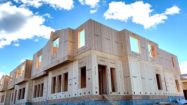 ¿Adiós al hormigón? Estas casas de madera cuentan paredes de bambú y eucalipto con máxima eficiencia