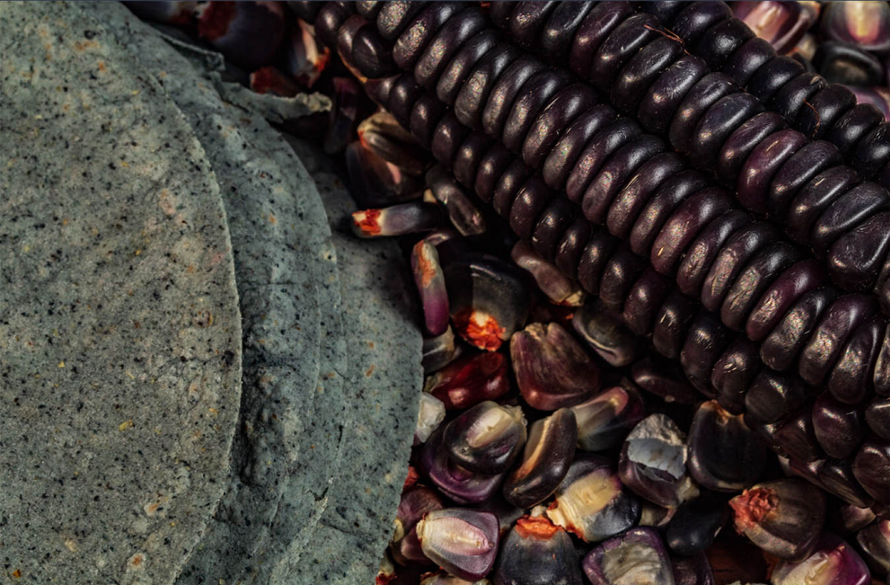 Mexicanos innovan con bebida de frijol negro y maíz azul para prolongar la vida