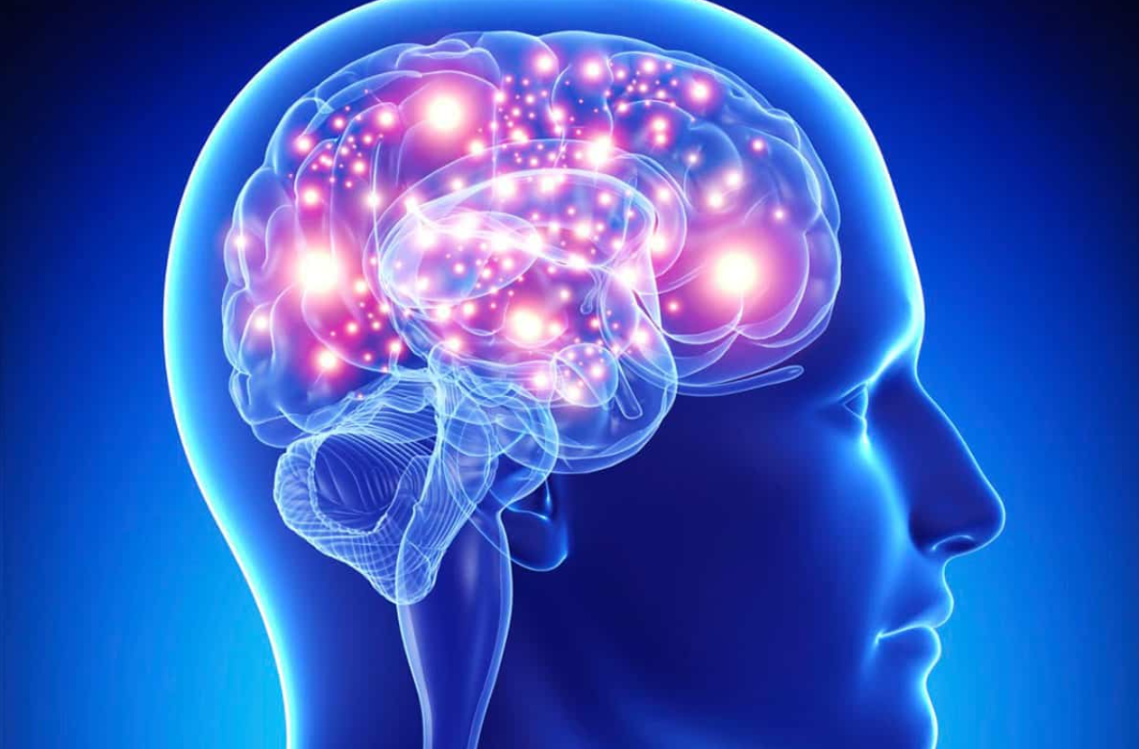 Descubren que la estimulación cognitiva y física rejuvenece el cerebro a nivel molecular