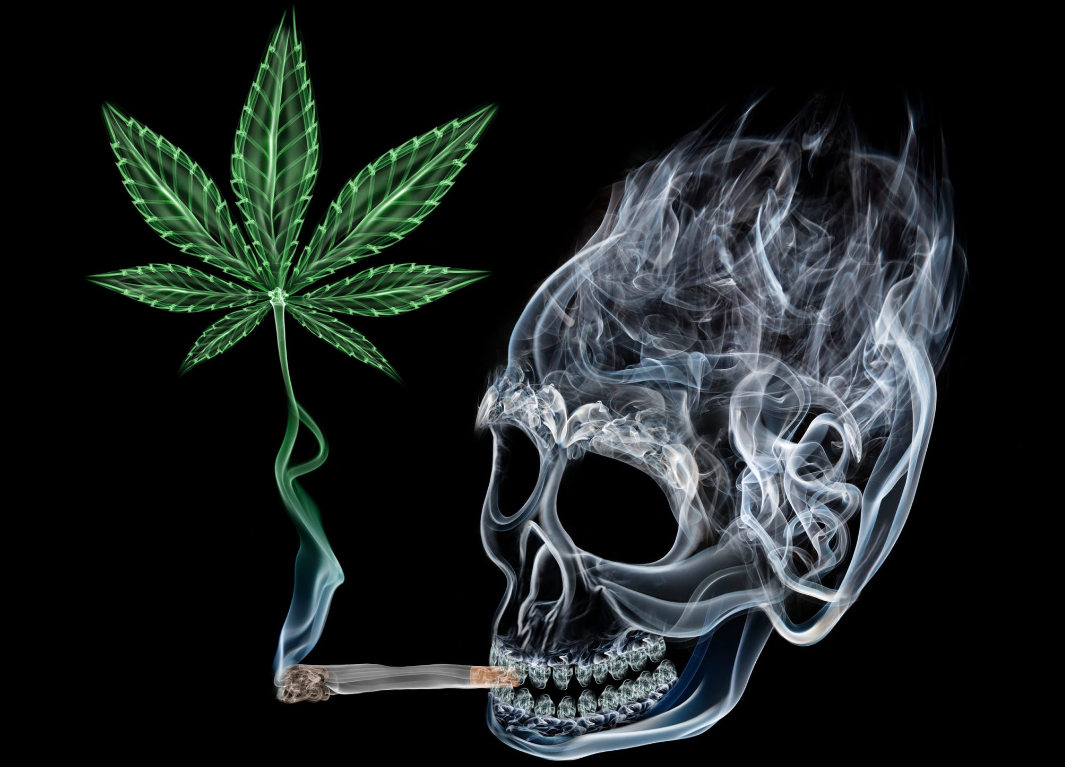 Marihuana: Entre el mito y la realidad del riesgo de muerte