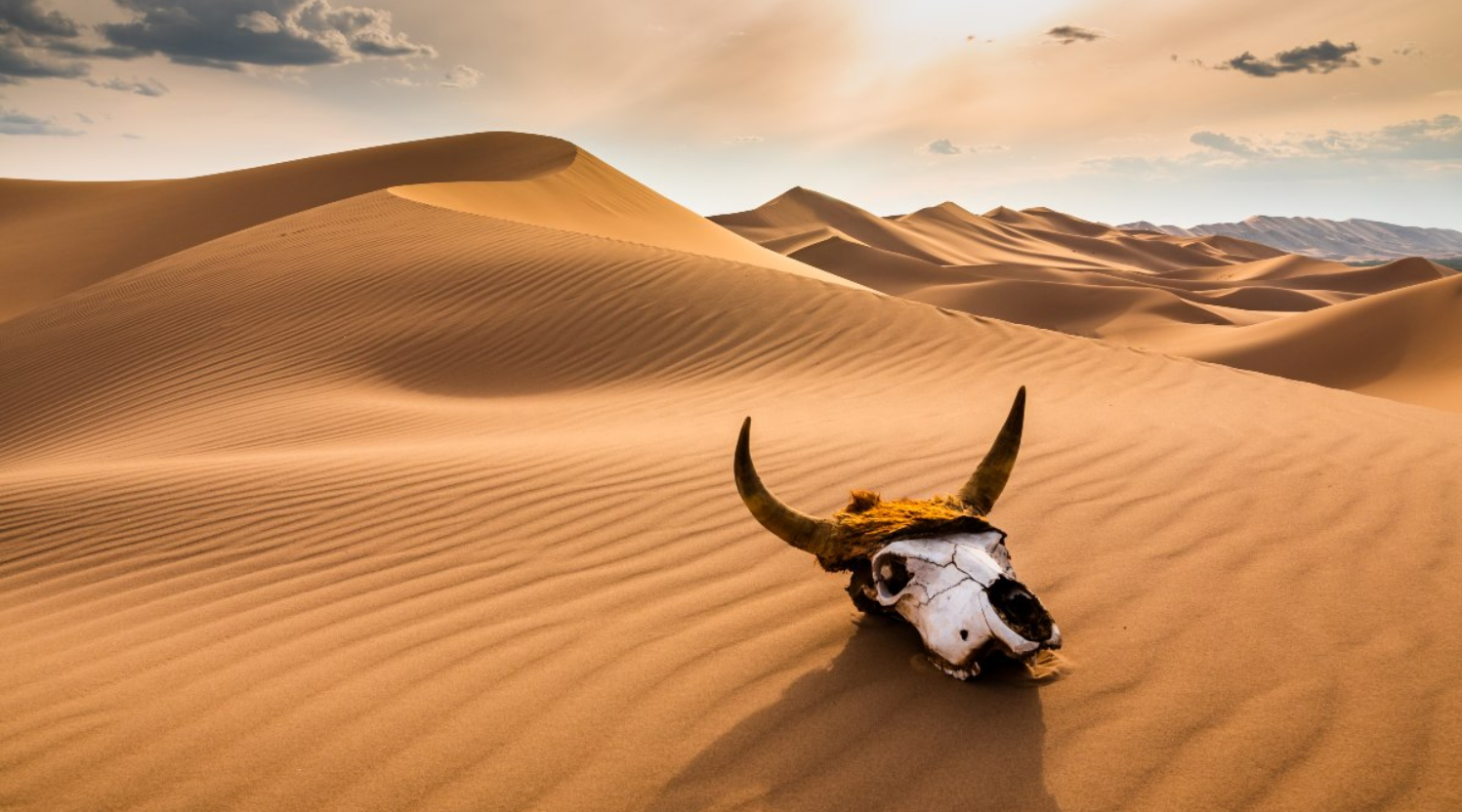 Sorpresivas inundaciones en el desierto del Sahara: La razón detrás de este fenómeno inusual