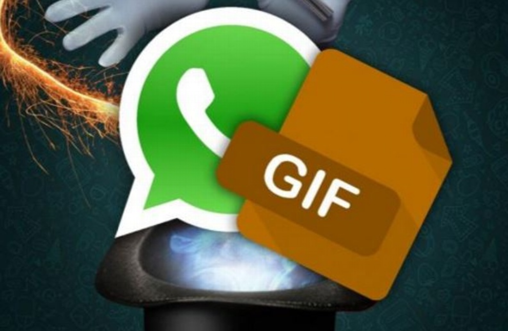 WhatsApp para editar y enviar GIFs: Todo lo que debes saber