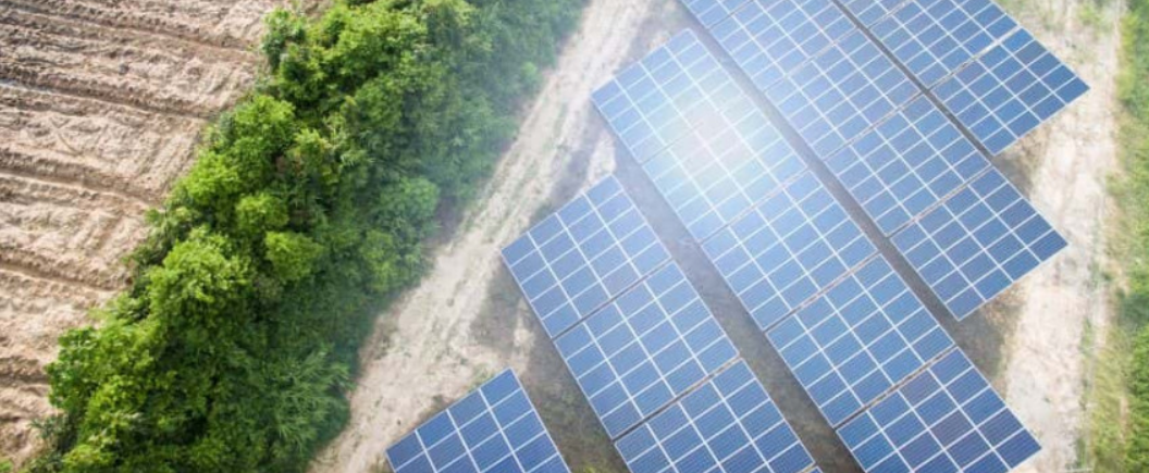 Colombia revoluciona la agrovoltaica: energía solar y alimentos en perfecta armonía