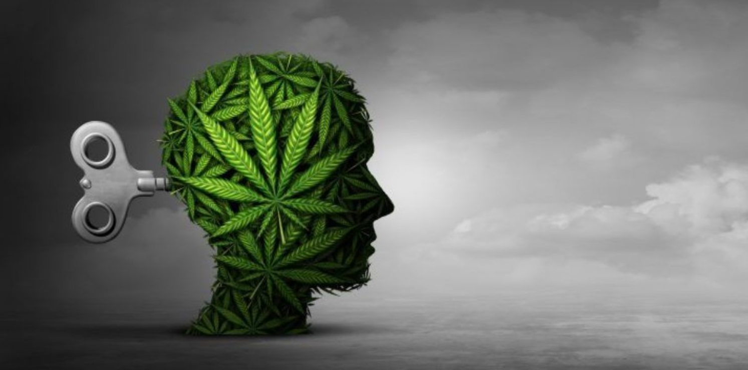 ¿Marihuana: Adicción o dependencia? Comprendiendo las diferencias
